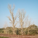 2009_portugal 130